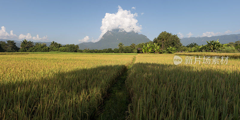 Doi Luang 山和清道。